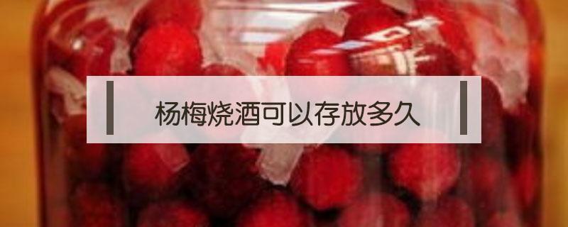 杨梅烧酒可以存放多久 杨梅酒能存放多久?