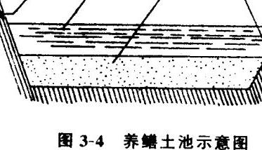 黄鳝养殖池怎样建造（黄鳝养殖池怎样建造视频）