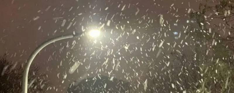 雨夹雪是不是看不到雪 雨夹雪不是下雪吗