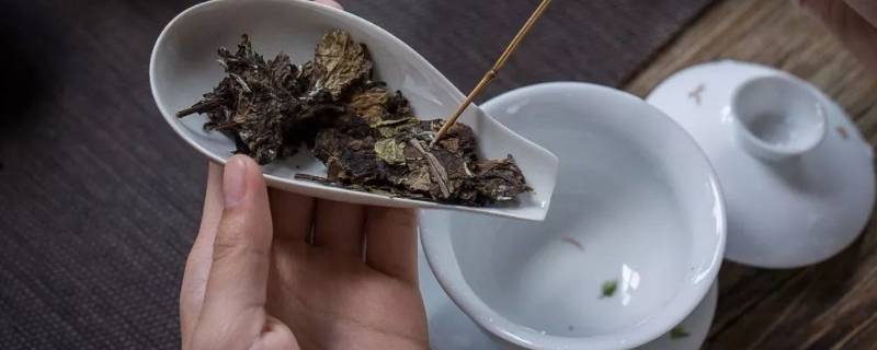 茶饼怎么泡茶（普洱生茶饼怎么泡茶）