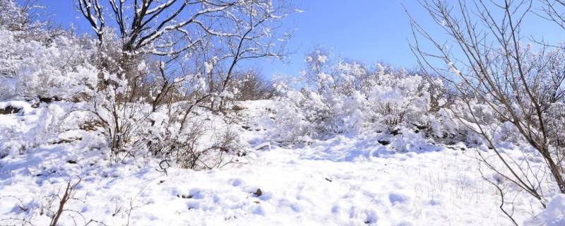 下雪要达到几度（下雪要达到多少度）