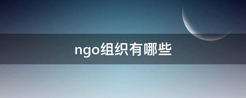 ngo组织有哪些（美国ngo组织有哪些）