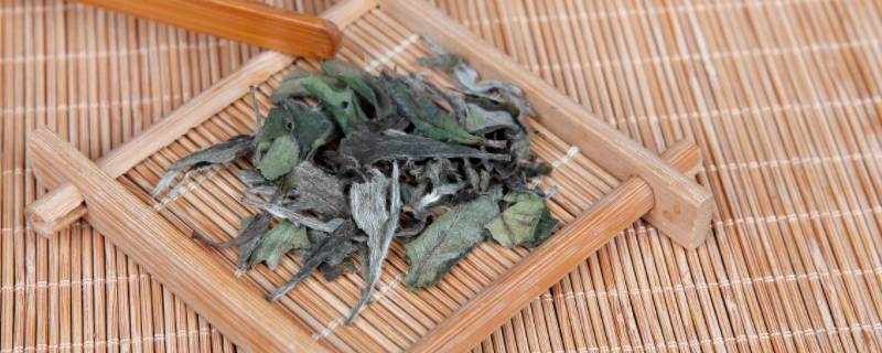 白茶属于哪类茶 安吉白茶是属于什么茶类