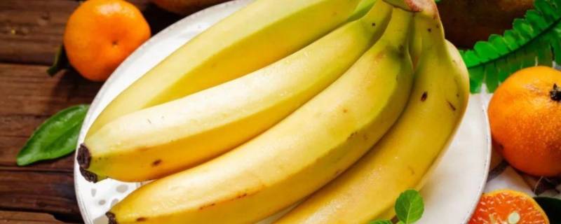 香蕉开花到成熟要多久（香蕉开花结果到成熟多久）