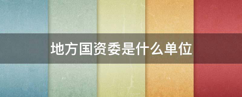 地方国资委是什么单位（地方国资委是什么单位性质）