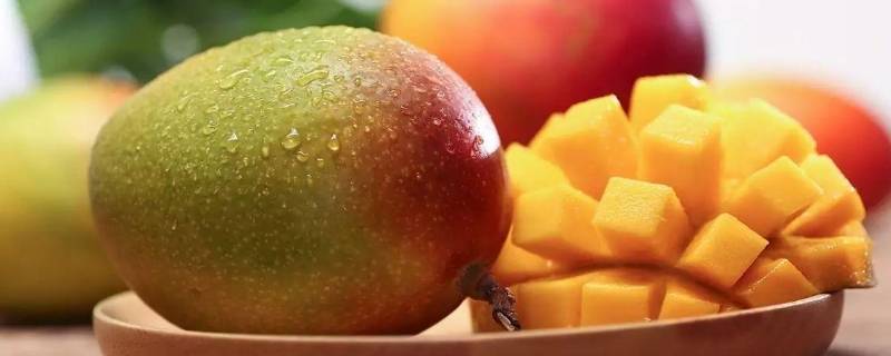 芒果可以放在冰箱里吗 芒果能否放在冰箱里