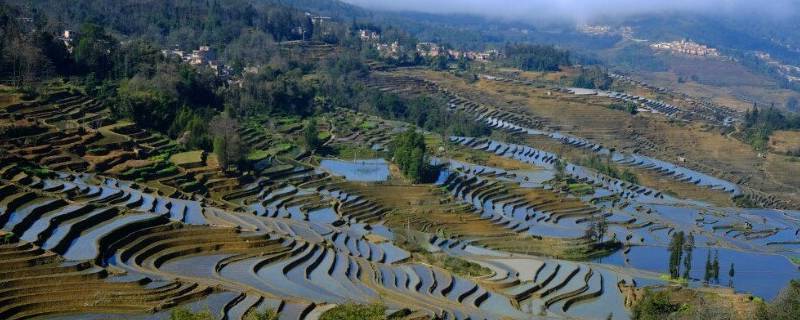 元阳县景点 元阳风景区旅游攻略