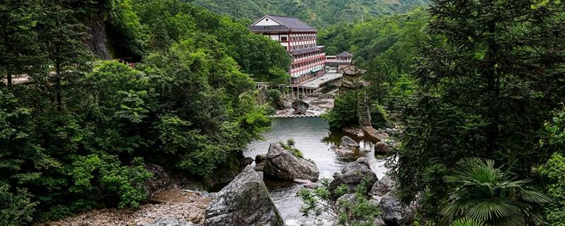 龙井景点（龙井景点图片大全）