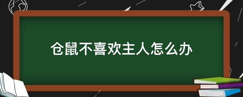 仓鼠不喜欢主人怎么办（如果仓鼠不喜欢主人怎么办?）