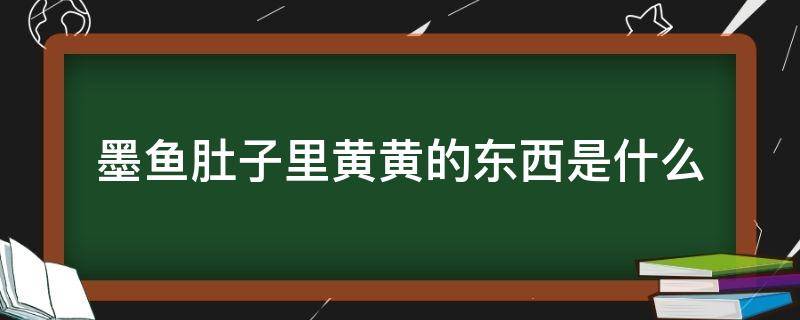 墨鱼肚子里黄黄的东西是什么（墨鱼体内发黄的部分）