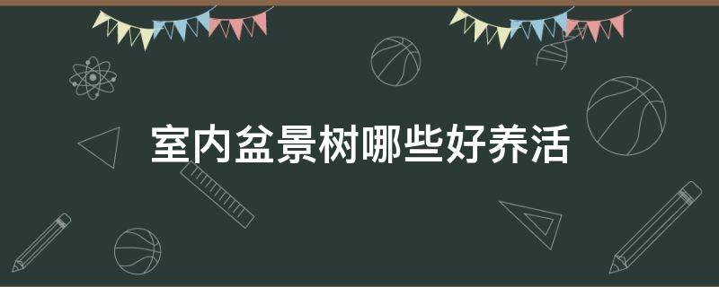 室内盆景树哪些好养活 有什么盆景树适合在家里养