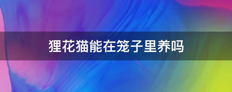 狸花猫能在笼子里养吗 狸花猫千万不能养