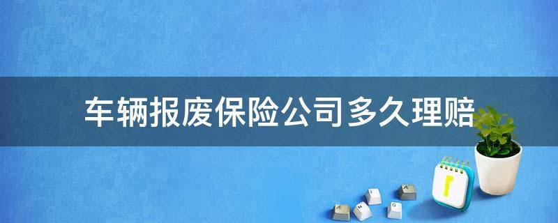 车辆报废保险公司多久理赔（车辆事故报废保险赔偿多久能下来）