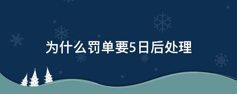 为什么罚单要5日后处理 罚单要5日后才能出来嘛