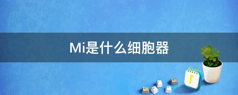 Mi是什么细胞器 细胞中的细胞器是什么