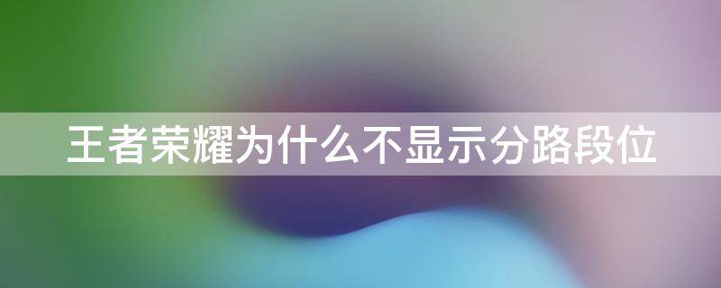 王者荣耀为什么不显示分路段位 王者荣耀为什么不显示分路段位图标