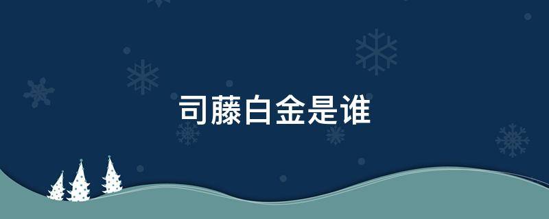 司藤白金是谁（司藤里面的白金到底是谁）