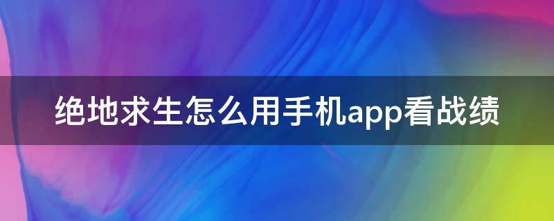 绝地求生怎么用手机app看战绩 怎么查绝地求生战绩app