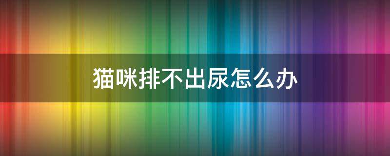 猫咪排不出尿怎么办 猫咪尿不出来有什么办法