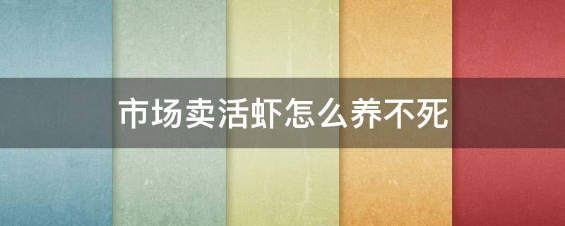 市场卖活虾怎么养不死 市场买的活虾怎么养活