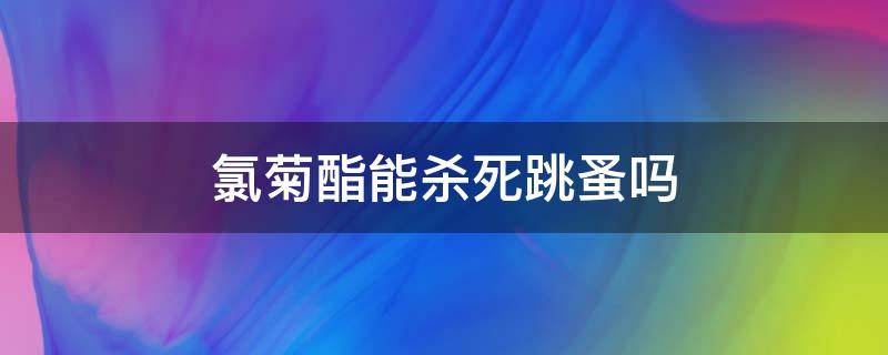 氯菊酯能杀死跳蚤吗 氯菊酯可以杀跳蚤吗