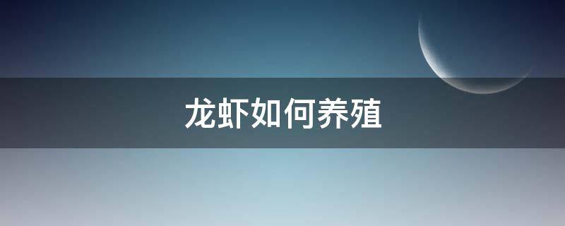 龙虾如何养殖（龙虾的养殖方法）