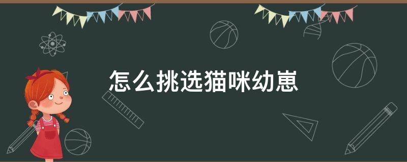 怎么挑选猫咪幼崽 如何挑选龙猫幼崽