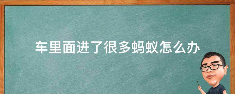 车里面进了很多蚂蚁怎么办 车上进了好多蚂蚁怎么办