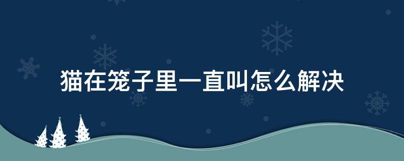 猫在笼子里一直叫怎么解决（猫在笼子里一直叫怎么办）