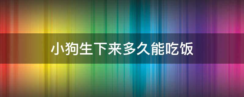 小狗生下来多久能吃饭（母狗生完小狗多久可以吃饭）