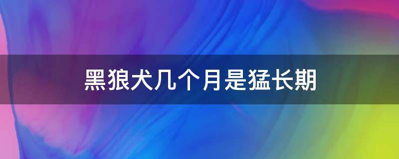 黑狼犬几个月是猛长期（黑狼犬猛长期每月可长多少斤）