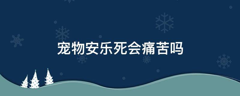 宠物安乐死会痛苦吗 宠物为什么要安乐死