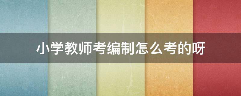 小学教师考编制怎么考的呀 小学教育考教师编制