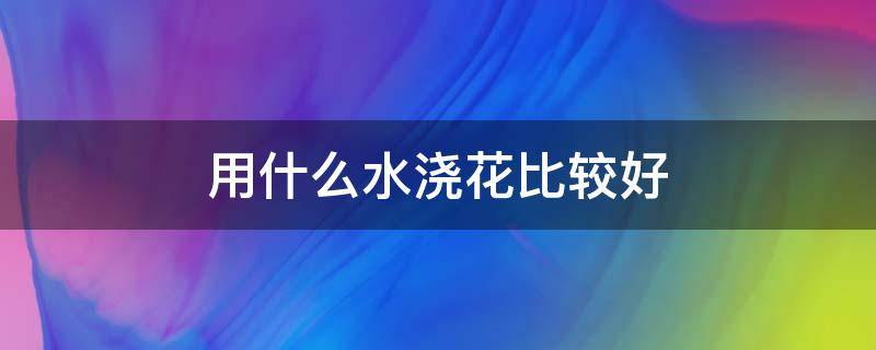 用什么水浇花比较好 浇花一般用什么水比较好