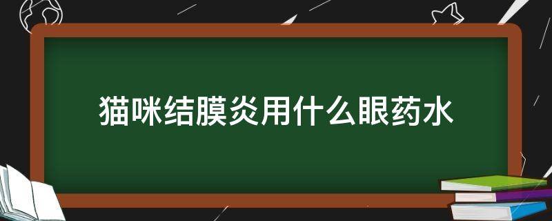 猫咪结膜炎用什么眼药水 猫角膜炎结膜炎用什么眼药水效果好