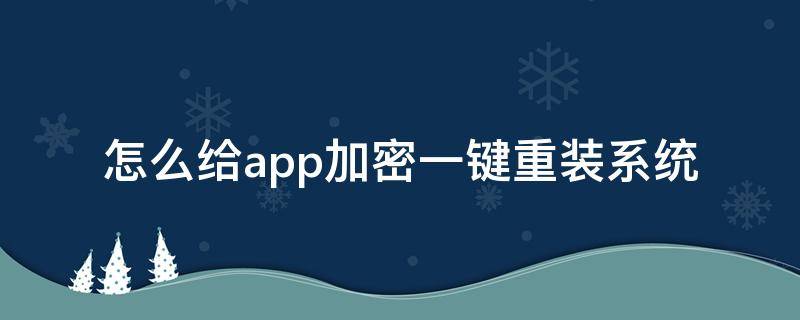 怎么给app加密一键重装系统（怎么给app软件加密）