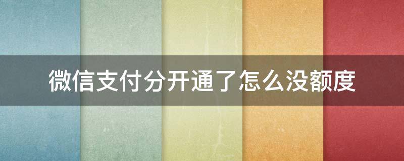 微信支付分开通了怎么没额度 微信支付分开通了怎么没有额度