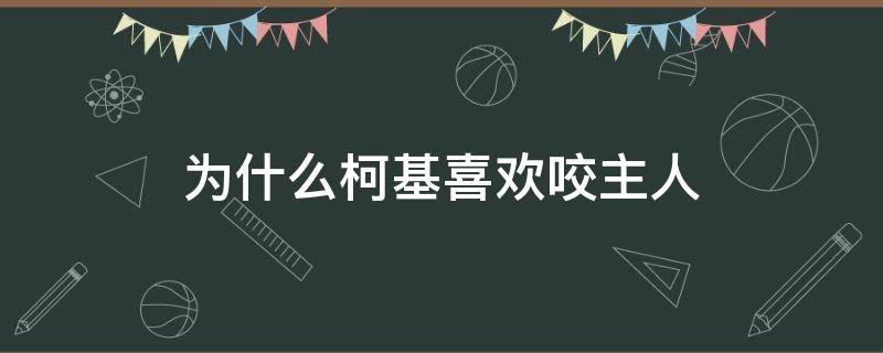 为什么柯基喜欢咬主人 为什么柯基喜欢咬主人脚后跟