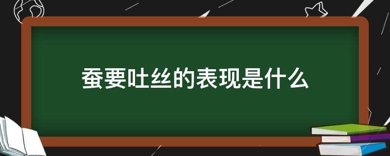 蚕要吐丝的表现是什么 蚕在吐丝前会干什么