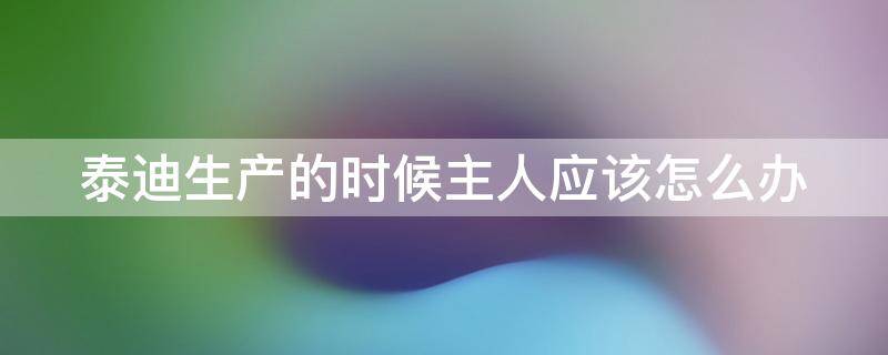 泰迪生产的时候主人应该怎么办（泰迪生产的时候主人应该怎么办泰迪宫缩视频）