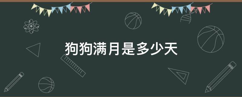 狗狗满月是多少天 狗狗满月是多少天洗澡