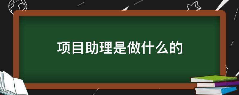 项目助理是做什么的（工程项目助理是做什么的）