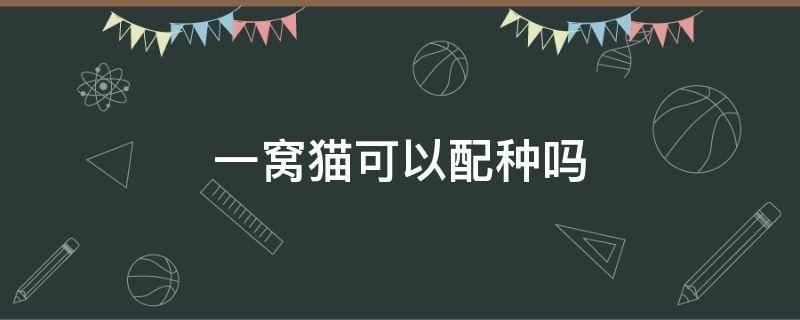 一窝猫可以配种吗 一窝里面的猫能配种吗