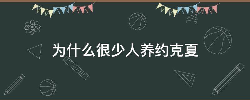 为什么很少人养约克夏 为什么不能养约克夏