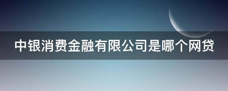 中银消费金融有限公司是哪个网贷（中银消费金融有限公司是哪个网贷平台）