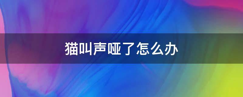 猫叫声哑了怎么办（猫叫声哑了是怎么回事）