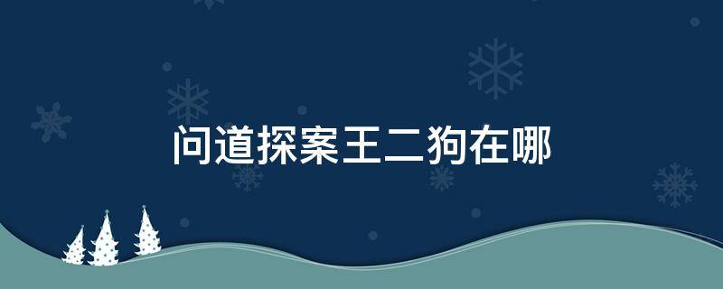 问道探案王二狗在哪（问道探案王二黑在哪里）