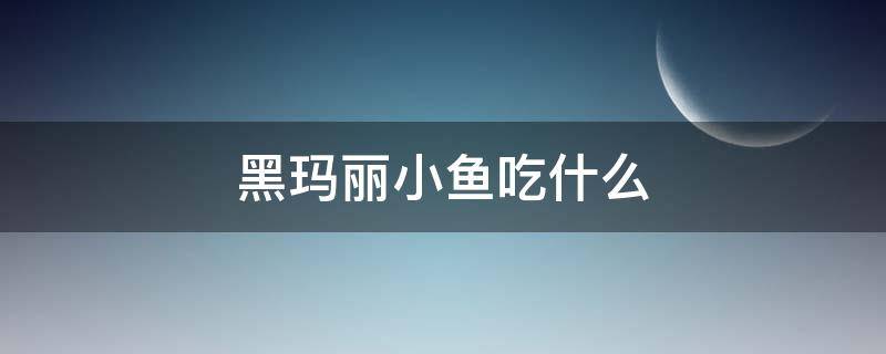 黑玛丽小鱼吃什么 黑玛丽鱼喂什么