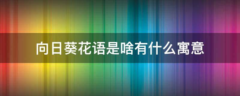 向日葵花语是啥有什么寓意（向日葵花的花语是什么含义）