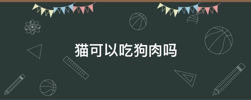 猫可以吃狗肉吗 可以吃猫肉狗肉吗